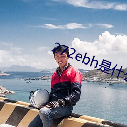 272ebh是什么