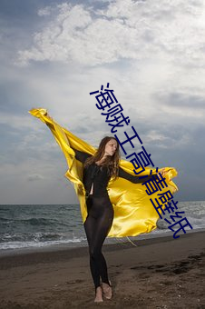 海(海)贼(賊)王高清壁纸