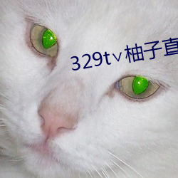 329t∨柚子直播