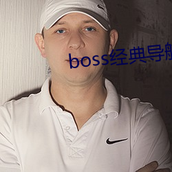 boss典導航王