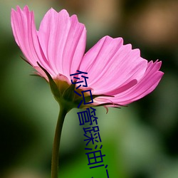 你只管踩油门