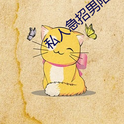 私人急招男陪聊