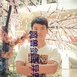 魔(mó)兽剑(jiàn)圣异(yì)界纵横