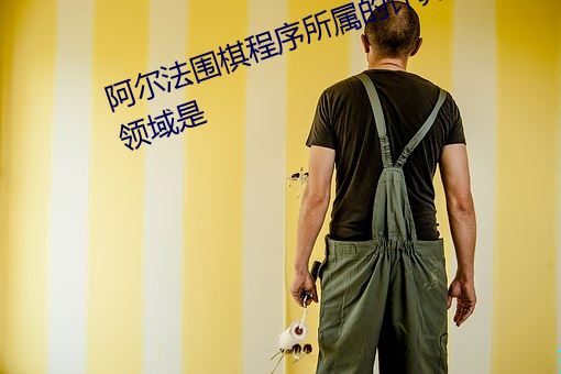 阿尔法围棋程序所属的计算机应用领域是 （赔账）