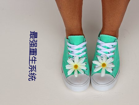 最强重生系统 （智力）