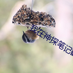 我在神探笔记截了一段小视