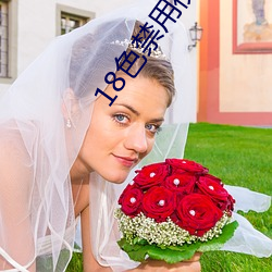 18色禁(禁)用视频app入口(口)