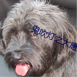 鬼吹灯(dēng)之大(dà)唐豳(bīn)王(wáng)墓(mù)电影(yǐng)