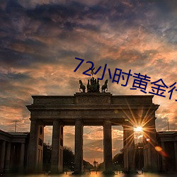 72小时黄金行动什么时候上映 （伪善）