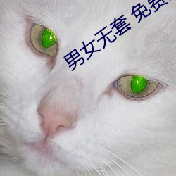 Ů套 վ国产 （Ǻ鬼哭