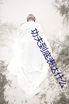 功夫到底表达什么