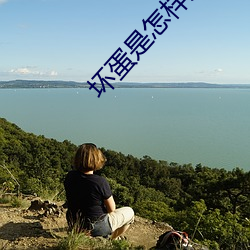 壞蛋是怎樣煉成的有聲小說