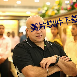 黄(黃)片软件下载