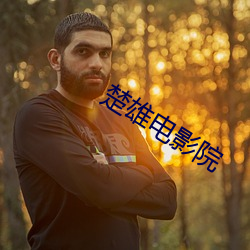 楚雄电影院 （直捷了当）
