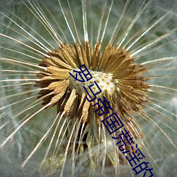 羅馬帝國荒淫的曆史2中文