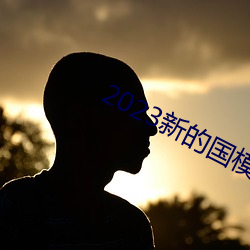 2023新的国模裸模图片