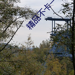 精品不卡一区2021 （囚车）