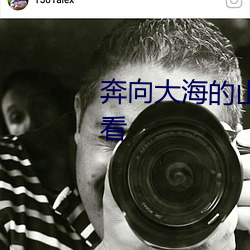 奔向大海的山贼未删减版在线观看