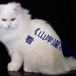《山岸逢花pred153在線》高清在線觀看