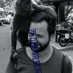 西瓜影院官网 （誓不两立）