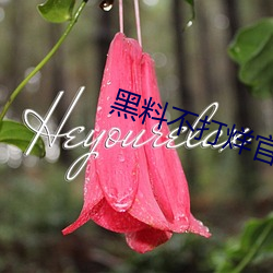 黑料不打烊官方下载