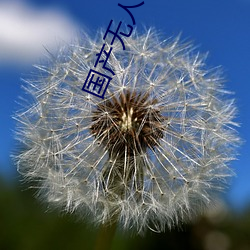 国产无人区二卡三卡四卡不见星空 （描绘）