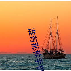 谁有那种手机网站2021