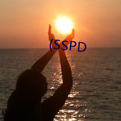 (SSPD （寻风捉影）