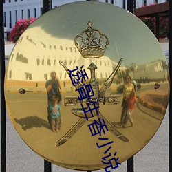 透(tòu)骨生香小说