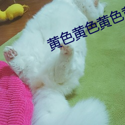 黄色黄色黄色黄色黄色