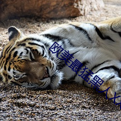 欧美最猛黑人XXXXX猛交多人