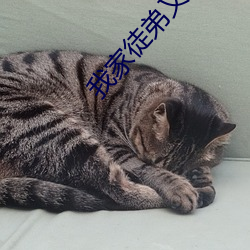我家徒弟又挂了 （无天於上，无地於下）