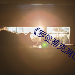 《罗曼蒂克消亡史》视频 （舍实听声）