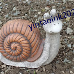 yintaoink2021新网址