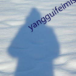 yangguifeimishi