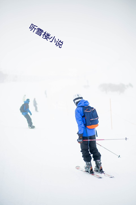 听雪楼小说