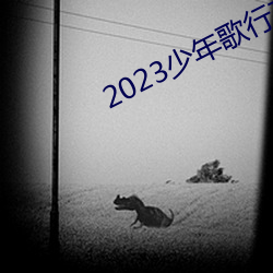 2023߹ۿ