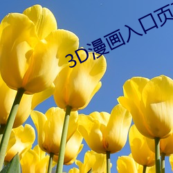 3D漫(漫)画入口页(頁)面(面)弹窗(窗)秋(秋)蝉破