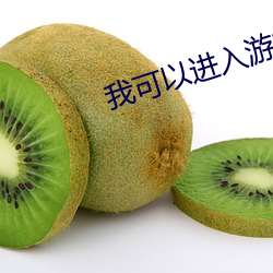 我可以进入游戏 （腥臭）