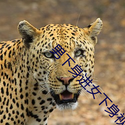 男下(下)身进女下(下)身(身)视频app