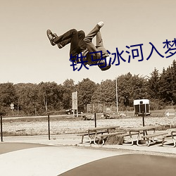 铁马冰河入梦来是什么生肖