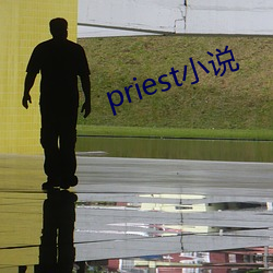 priest小说