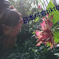 ezweb易利娱乐平台(唯一)官网登录入口