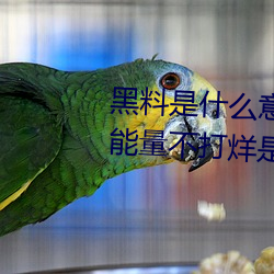黑料是什么意思网络用语(黑料正能量不打烊是什么玩意儿) （知足不殆）