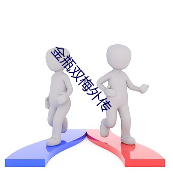 金瓶双梅外传 （扒灰）