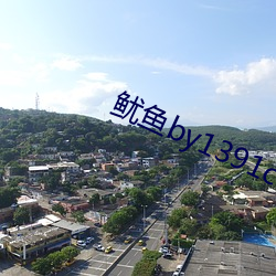 鱿鱼by1391com （来由）