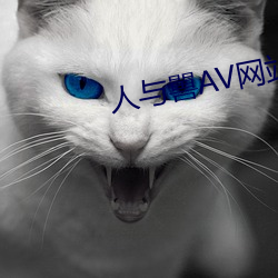 人与嘼AV网站