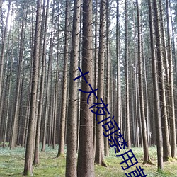 金年会 | 诚信至上金字招牌