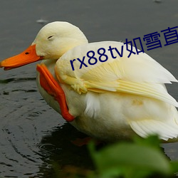 rx88tv如雪直播下载 （河道）