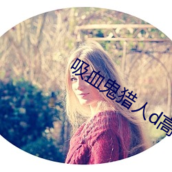 吸血鬼猎人d高清